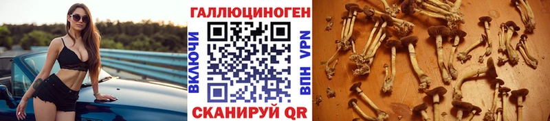 где купить   Вышний Волочёк  Галлюциногенные грибы ЛСД 